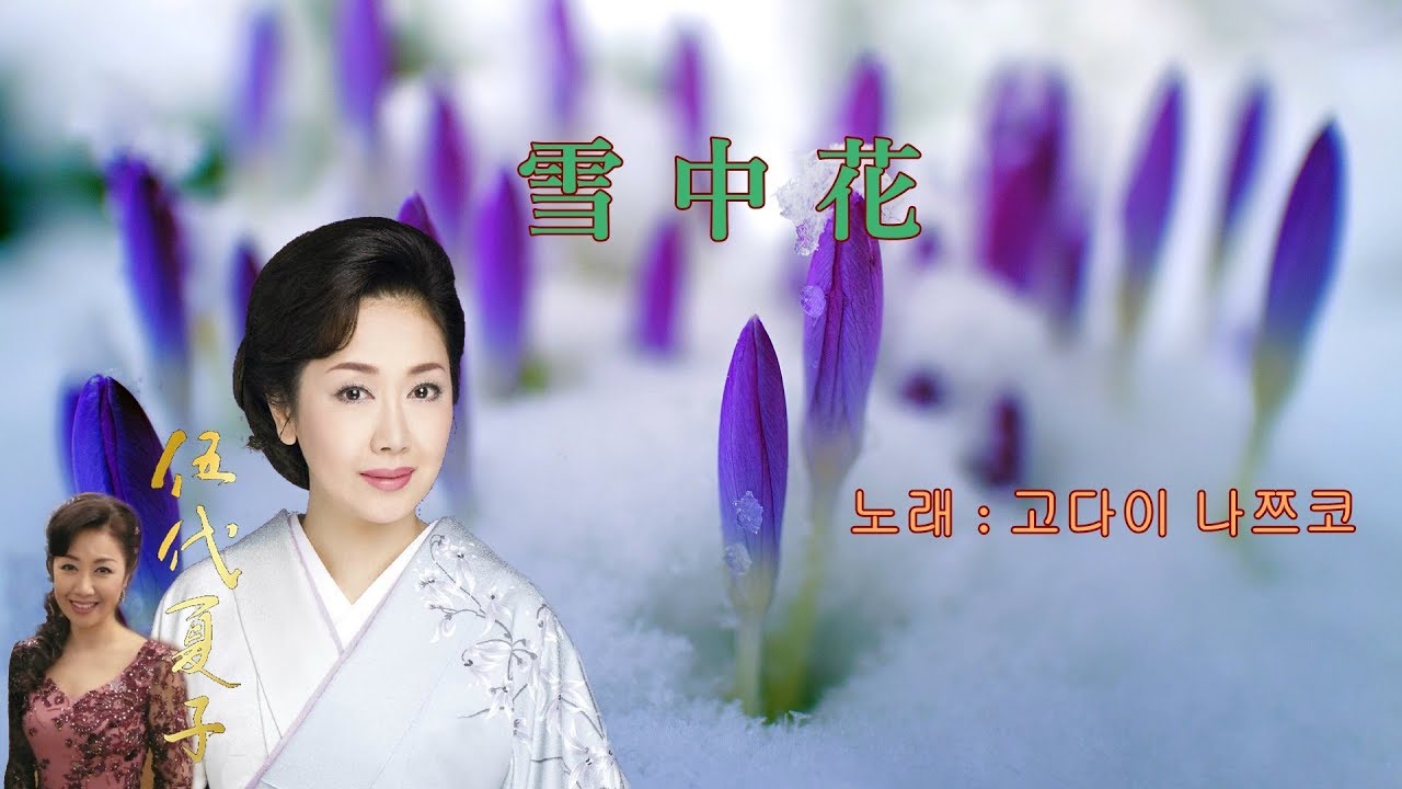 설중화 - 고다이 나쯔코 / 일본 여자 엔카의 대명사