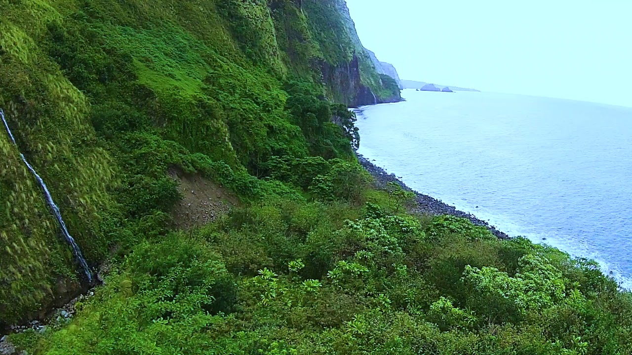 Video 5 Drone Aerial View of Opua