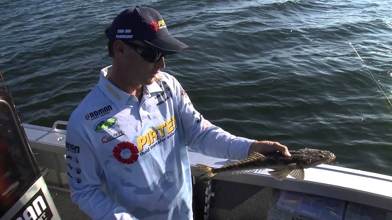 Fishing for Flathead using Soft Vibes - Reel Action TV