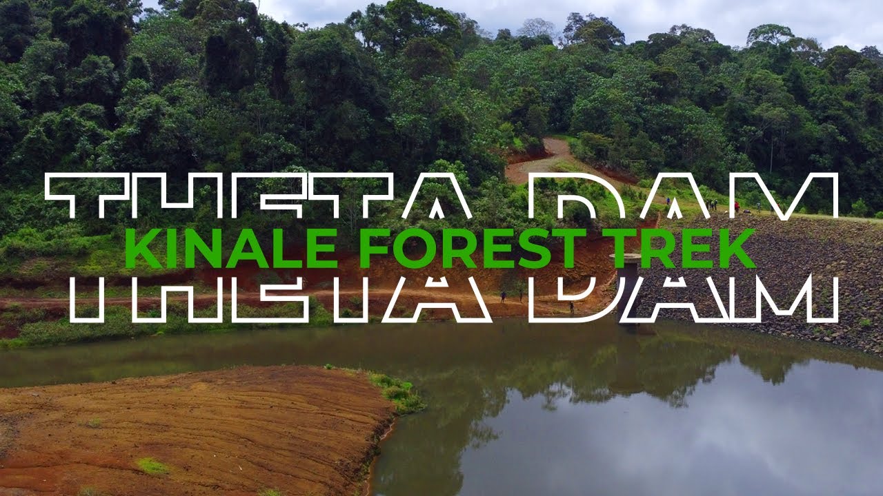 Unwind and Reset through Kinale Forest and Theta Dam Trek