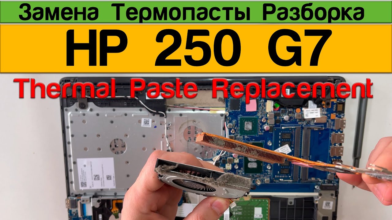 HP 250 g7 - Замена Термопасты Разборка