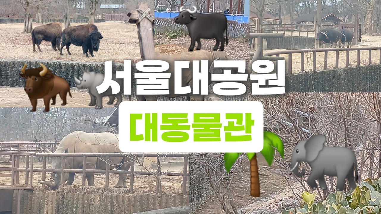 서울대공원 대동물관!(풀버전)