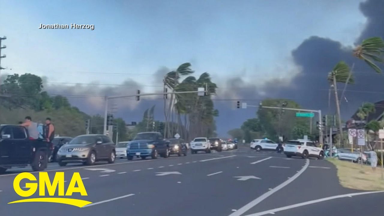 A look at Maui 6 months after the fires