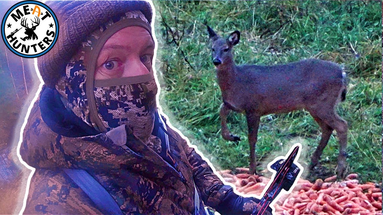 Finnish Whitetail Tour 2021 - Two Deer at 20! - Day 2