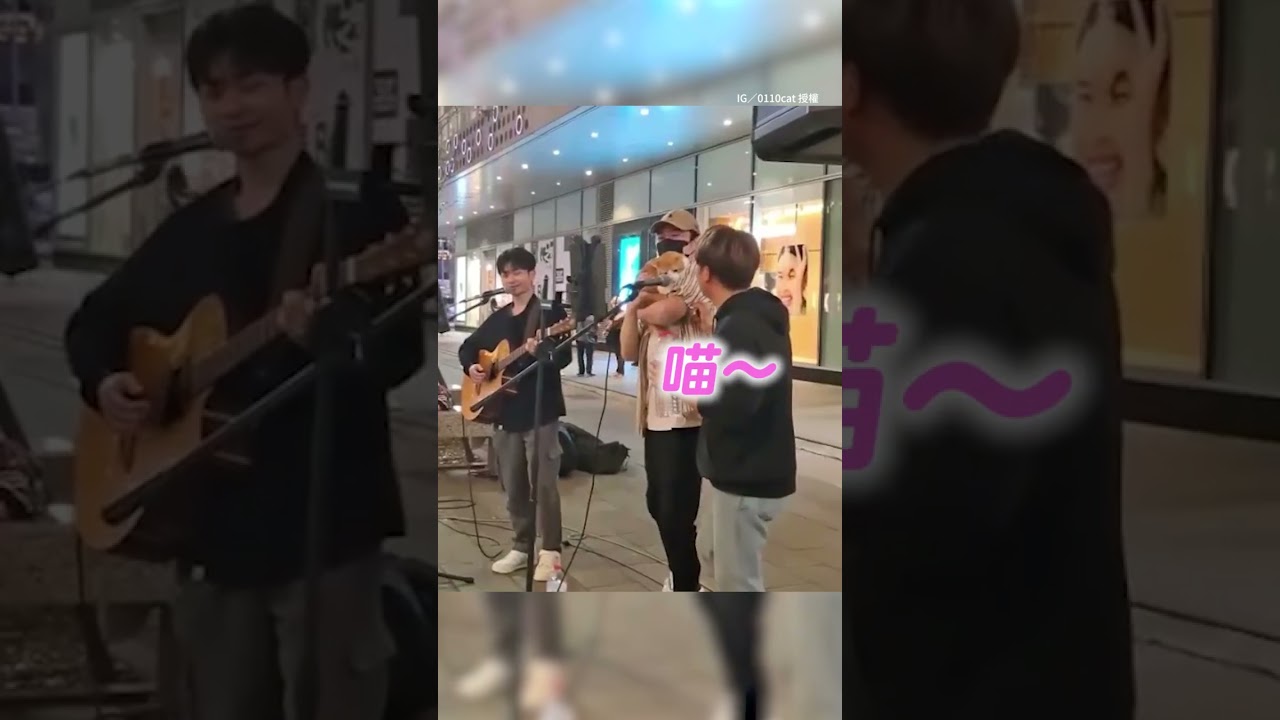 喵：這年頭罐罐都要自己賺了 #學貓叫 #貓咪 #街頭藝人 #shorts @funny_videos