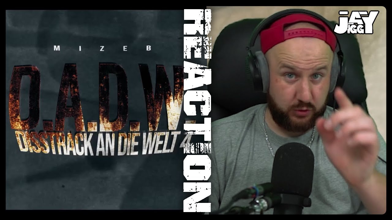 Krasse Atmosphäre 💪🏻 MiZeb - DISSTRACK AN DIE WELT 4 | REACTION