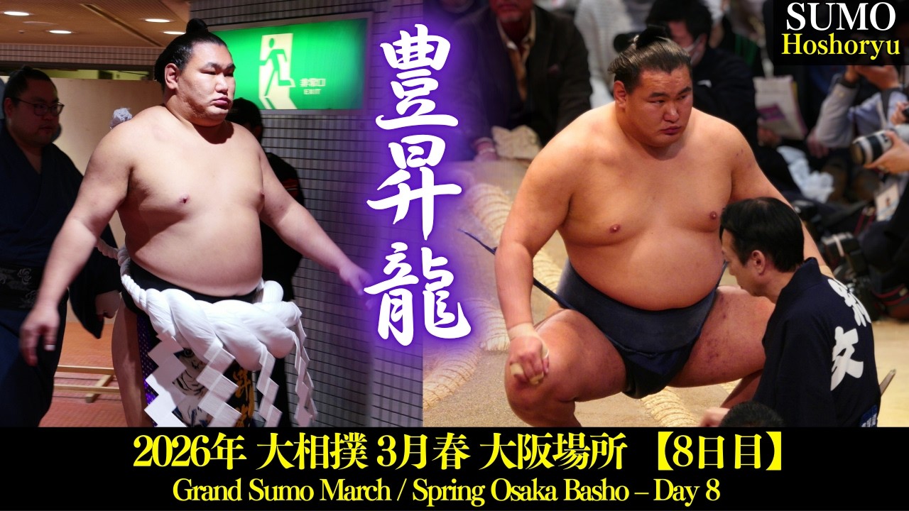 負けられない豊昇龍 vs 大栄翔 戦❗ 8日目 【大相撲 3月春場所 大阪】 Hoshoryu Day-8 /Grand Sumo March