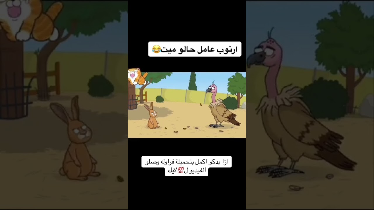 #تحميلة_فراولة #explore #فلسطين #العراق #ارنوباتي #سوريا #الاردن #لايك #دعم #ارنوب