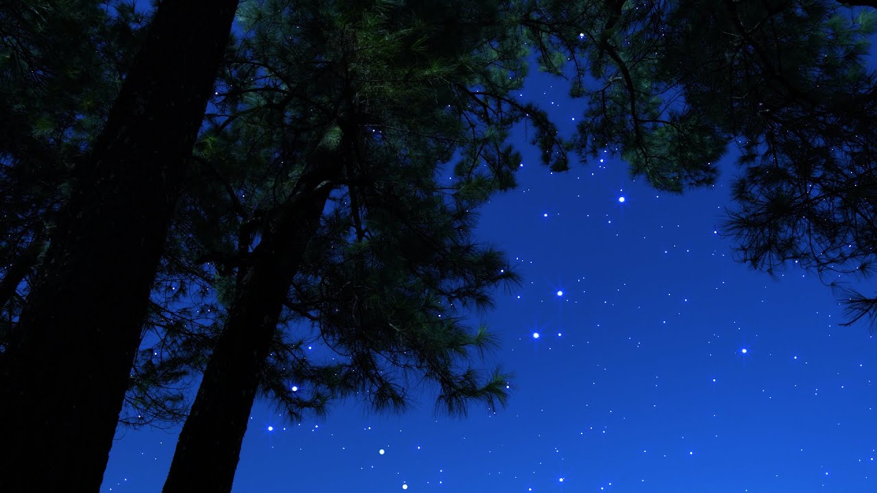 Crickets & Owl Under the Starry Night | Gentle Wind & Distant Thunder for Deep Sleep