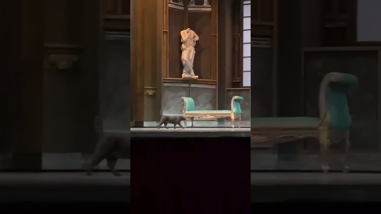 Puccini Tosca opera - Scarpia and a cat on the stage