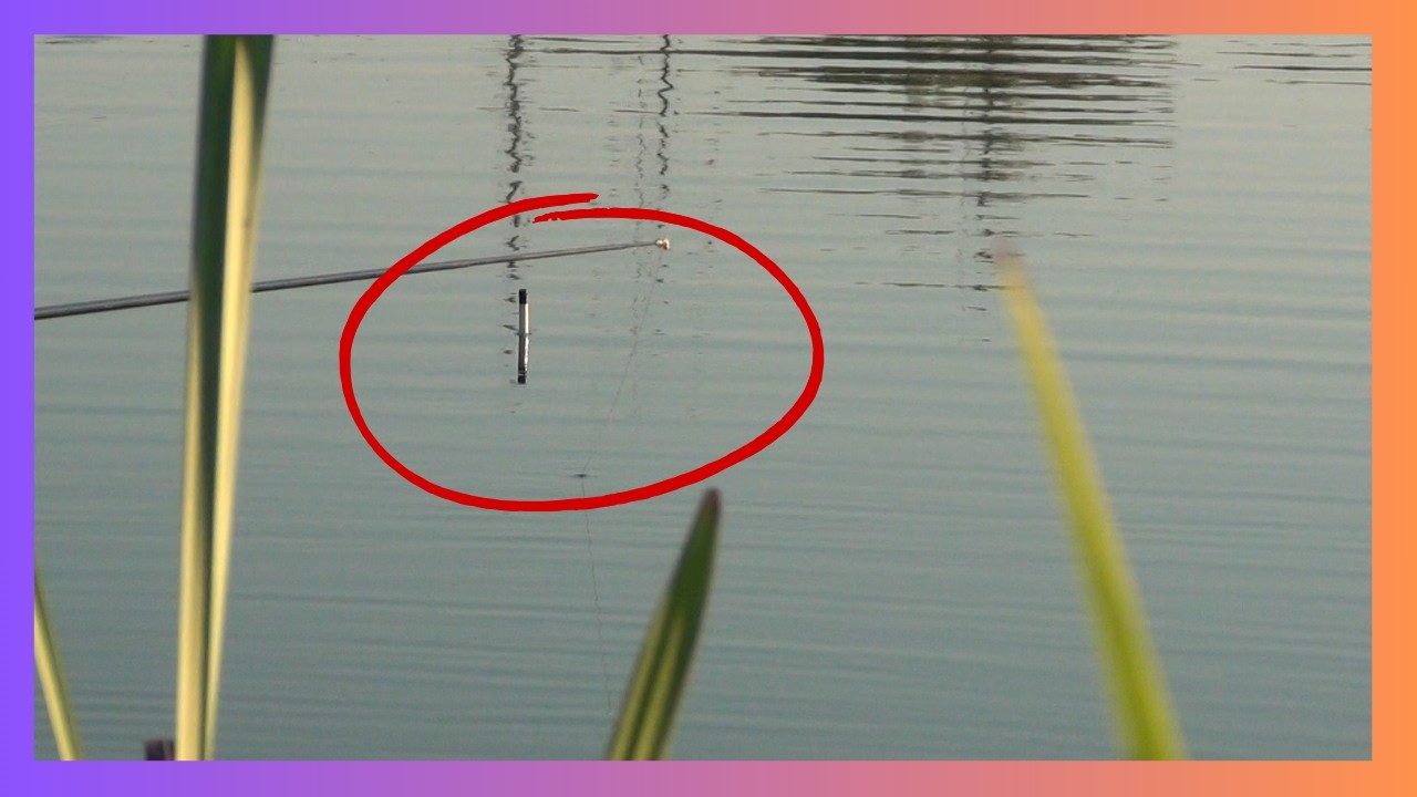 ✅🎣Pescuit la PLUTA in Delta Dunarii
