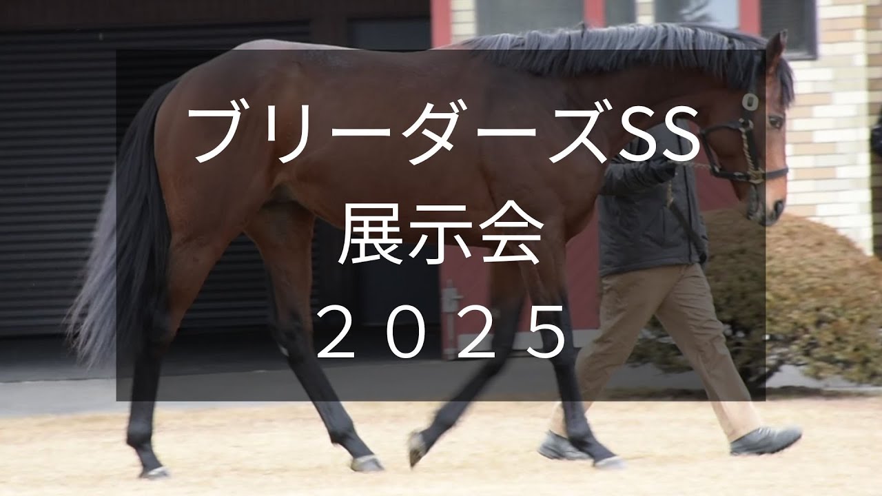 【ブリーダーズSS展示会2025】ジャスティンミラノやドライスタウトなど18頭が登場！