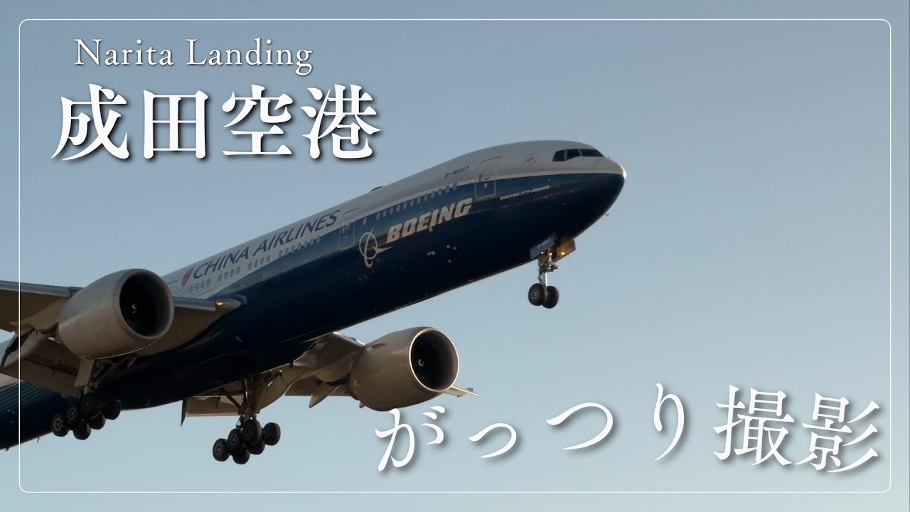 2026年2月 4K] 🤩成田空港の着陸機を撮影しました🙌