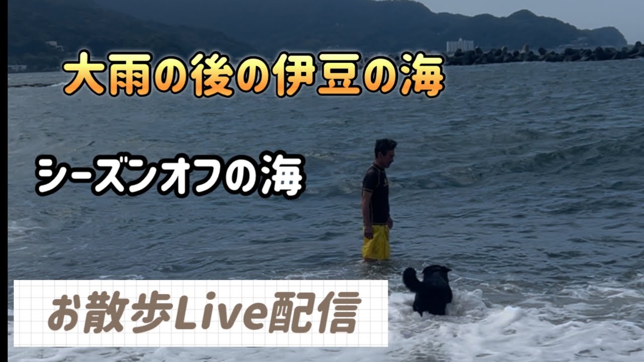 シーズンオフの伊豆の海
