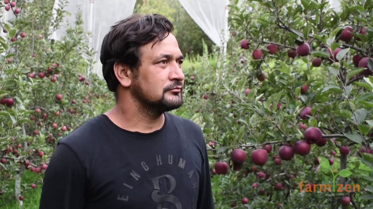 Growing Organic Apples - Q&A with Singh Apple Orchards