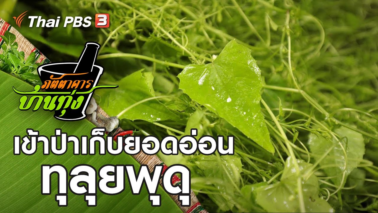 ทุลุยพุดุ : ภัตตาคารบ้านทุ่ง (10 ต.ค. 63)