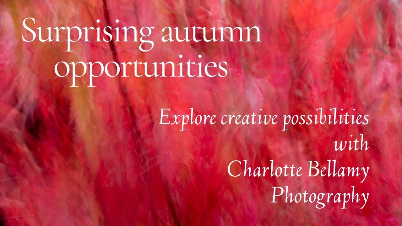 Creative autumn photographic opportunities in your back garden. ICM and in camera multiple exposure.