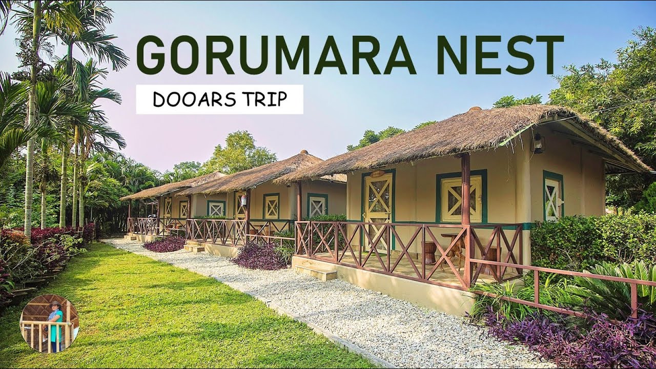 DOOARS | A Review of Gorumara Nest Resort - Best Resort  in Gorumara | Murti River | Lava Monastery