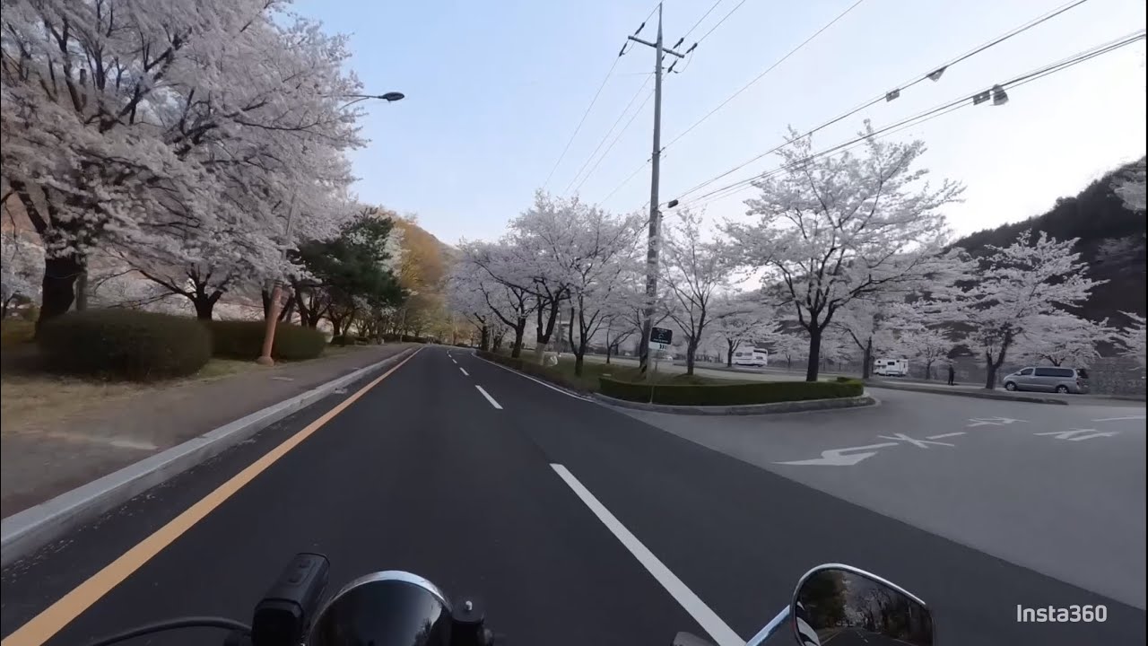 바출 바퇴 !!! 봄 즐기기 ~
