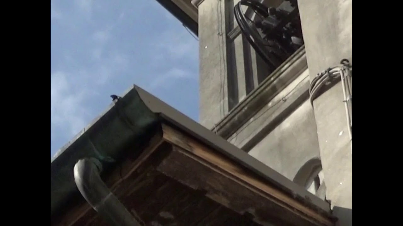 Le campane di Lodi - Chiesa di S. Maria del Sole (9). video 246