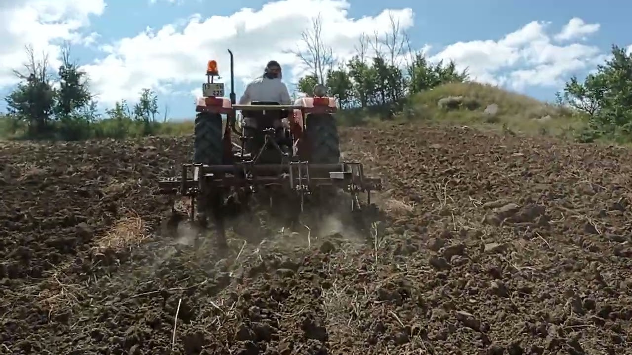 bayır tarlada kazayağı sürümü Massey Ferguson 148 ile