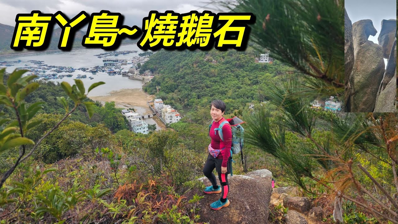 全日落住雨行燒鵝石， 濕咗身又凍又跣，提早走人(26年1月31日)