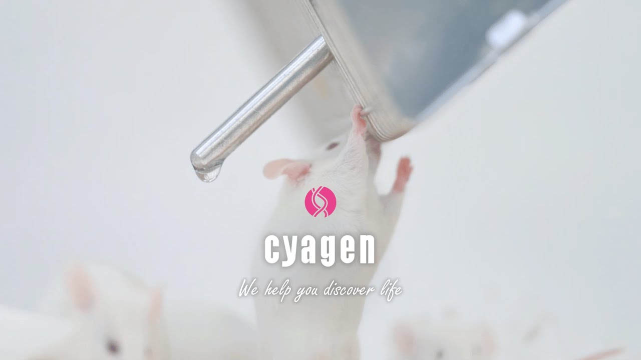 Cyagen - Partnering for Innovation in Gene Editing & Drug Discovery