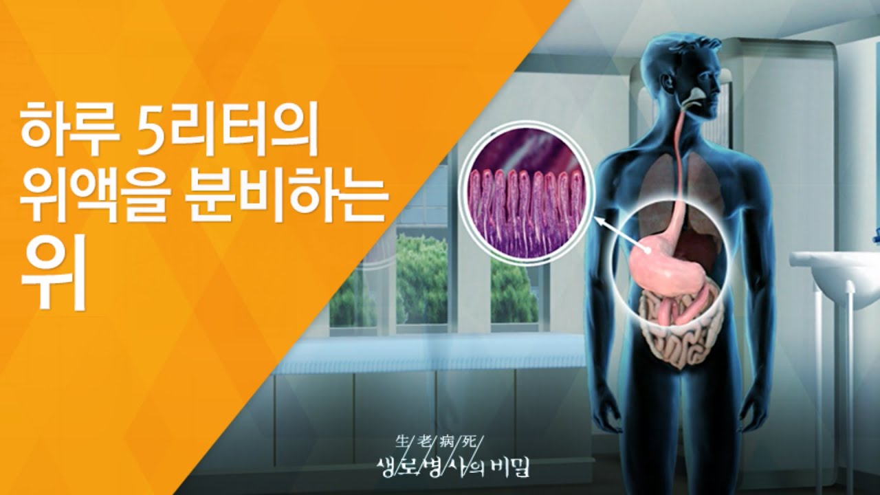 하루 5리터의 위액을 분비하는 위 - (20120218_402회 방송)_위를 위하여