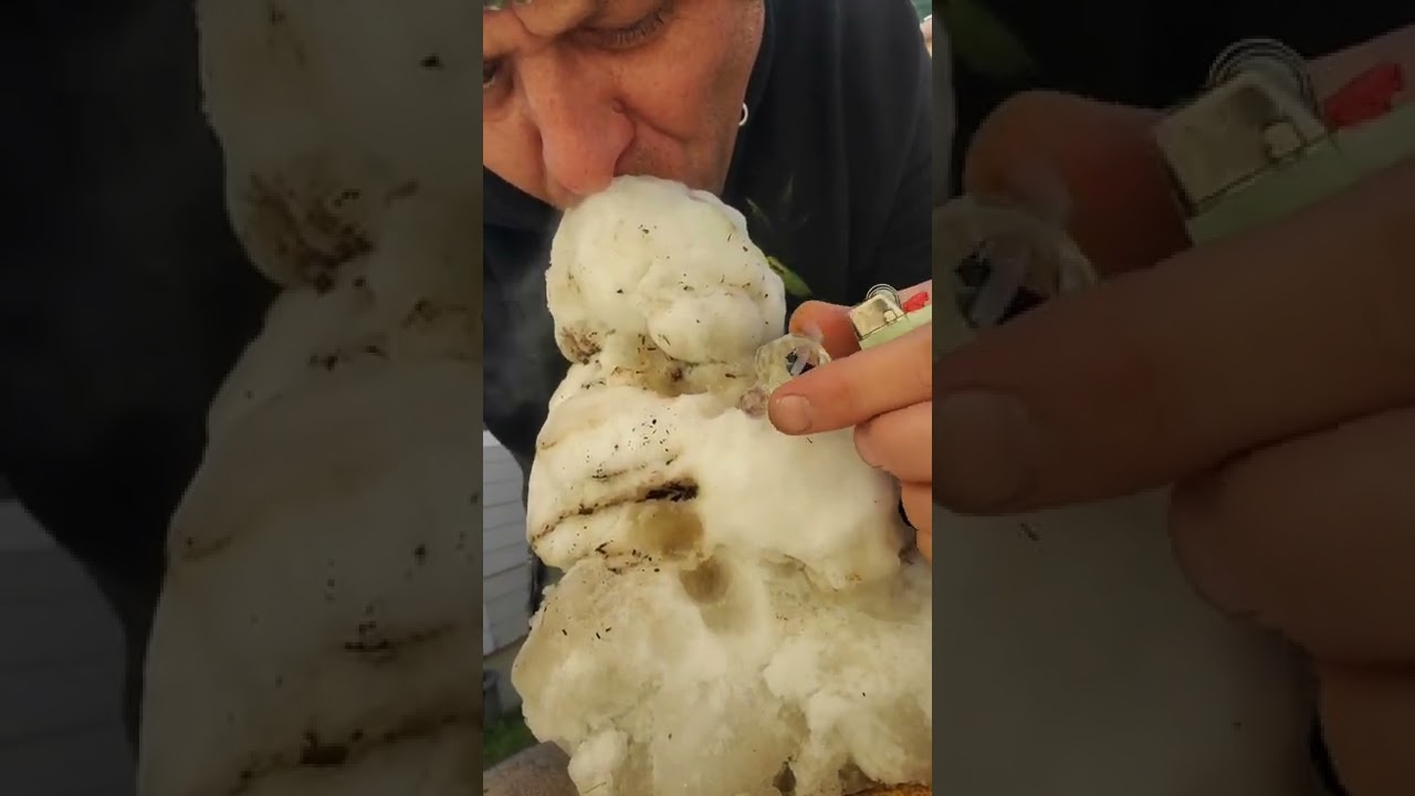 snow bong rips...