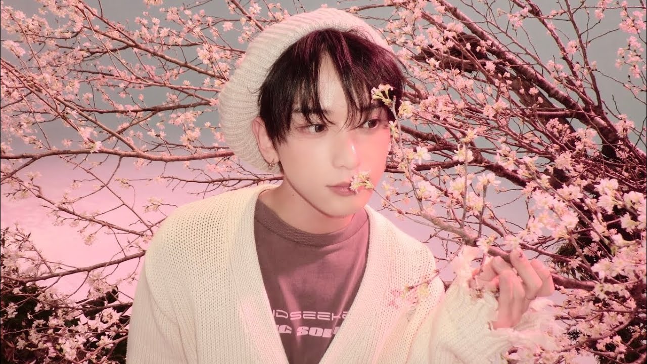 🌸 몇 번의 계절이 바뀌어도 | &TEAM(앤팀) - 桜色Yell 가사 해석 日本語訳