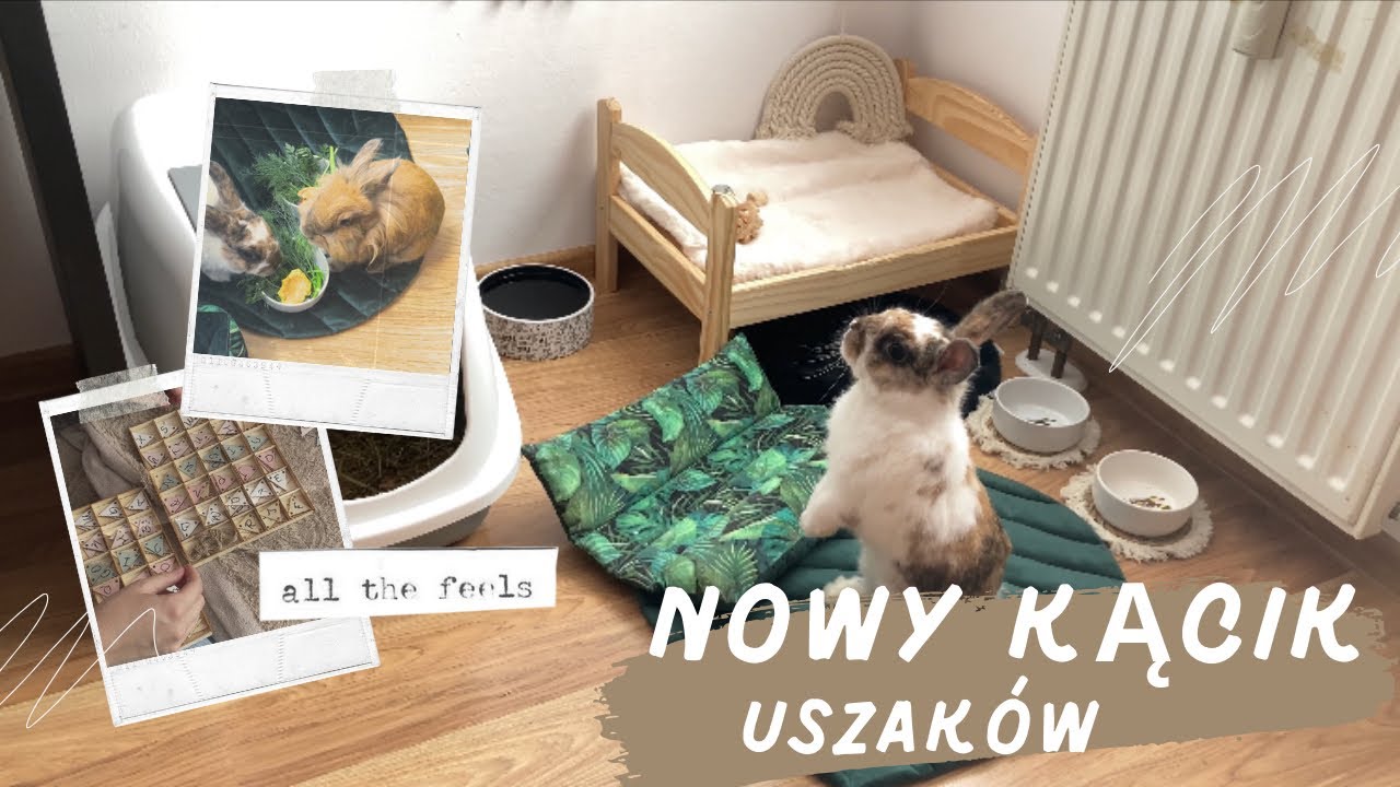 URZĄDZAM KĄCIK KRÓLIKÓW