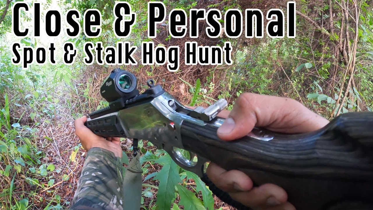 Spring Time Florida Hog Hunting (Spot & Stalk)
