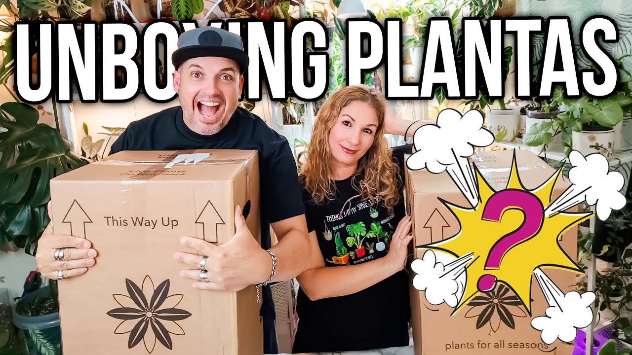 ¡Unboxing de Plantas Increíbles! 🌿 Descubriendo las Sorpresas de Plants for All Seasons🤩