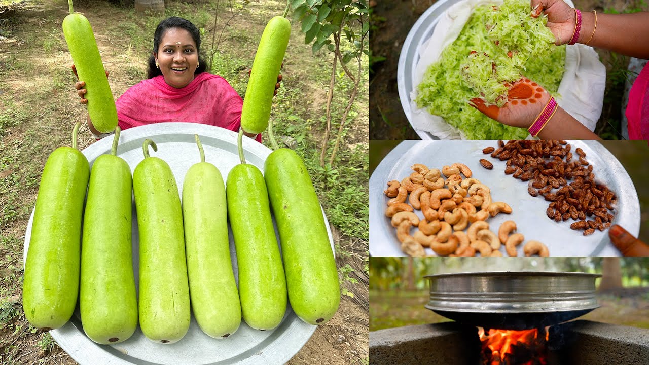 BOTTLE GOURD HALWA | சுரைக்காய் அல்வா செய்முறை