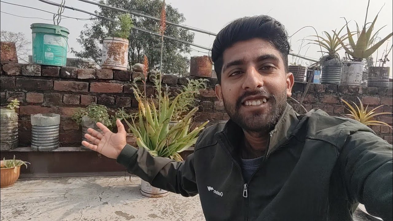 Our mini garden 😍 | Keshav Dhiman Vlogs 