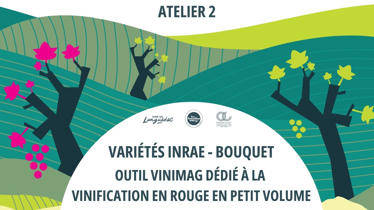 Variétés INRAE-Bouquet, Atelier 2 : Outil Vinimag dédié à la vinification en rouge en petit volume