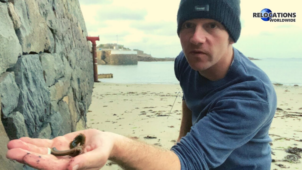 Shore Fishing by St Sampson’s Harbour In Guernsey