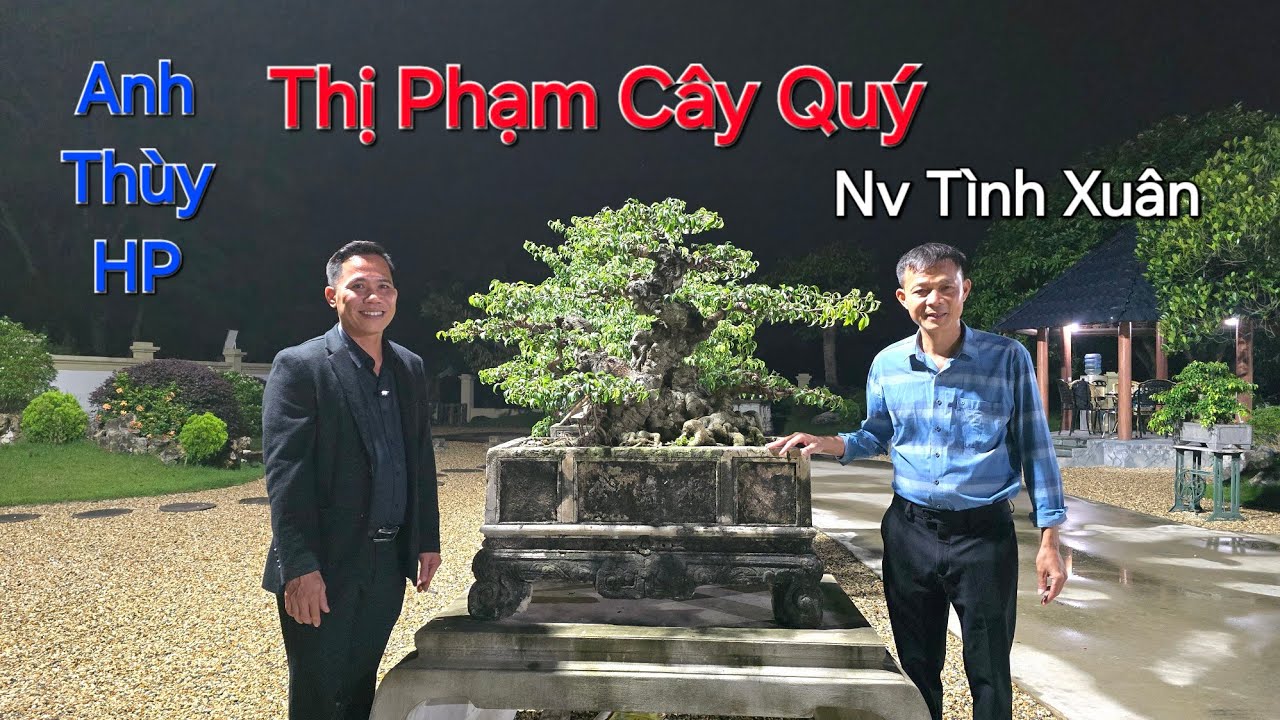 Anh THÙY HP đến chia Sẻ và Phân Tích Trực Tiếp tại NV anh TÌNH XUÂN - Phú Thọ .