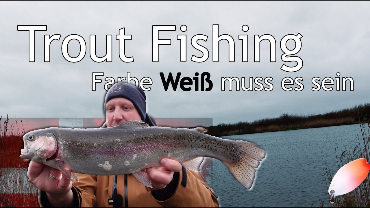 Forellen Angeln in D&auml;nemark bei Lodbjerg Hede