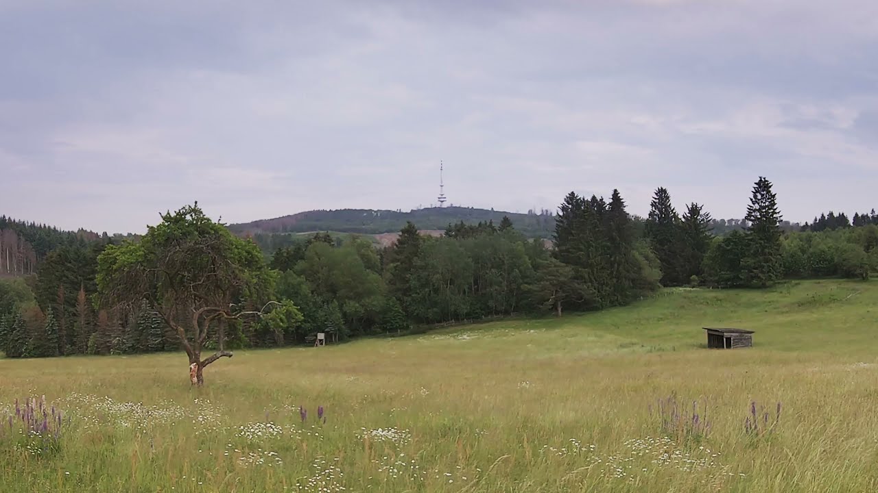 Walking in Angelburg / Lixfeld (4K Germany)
