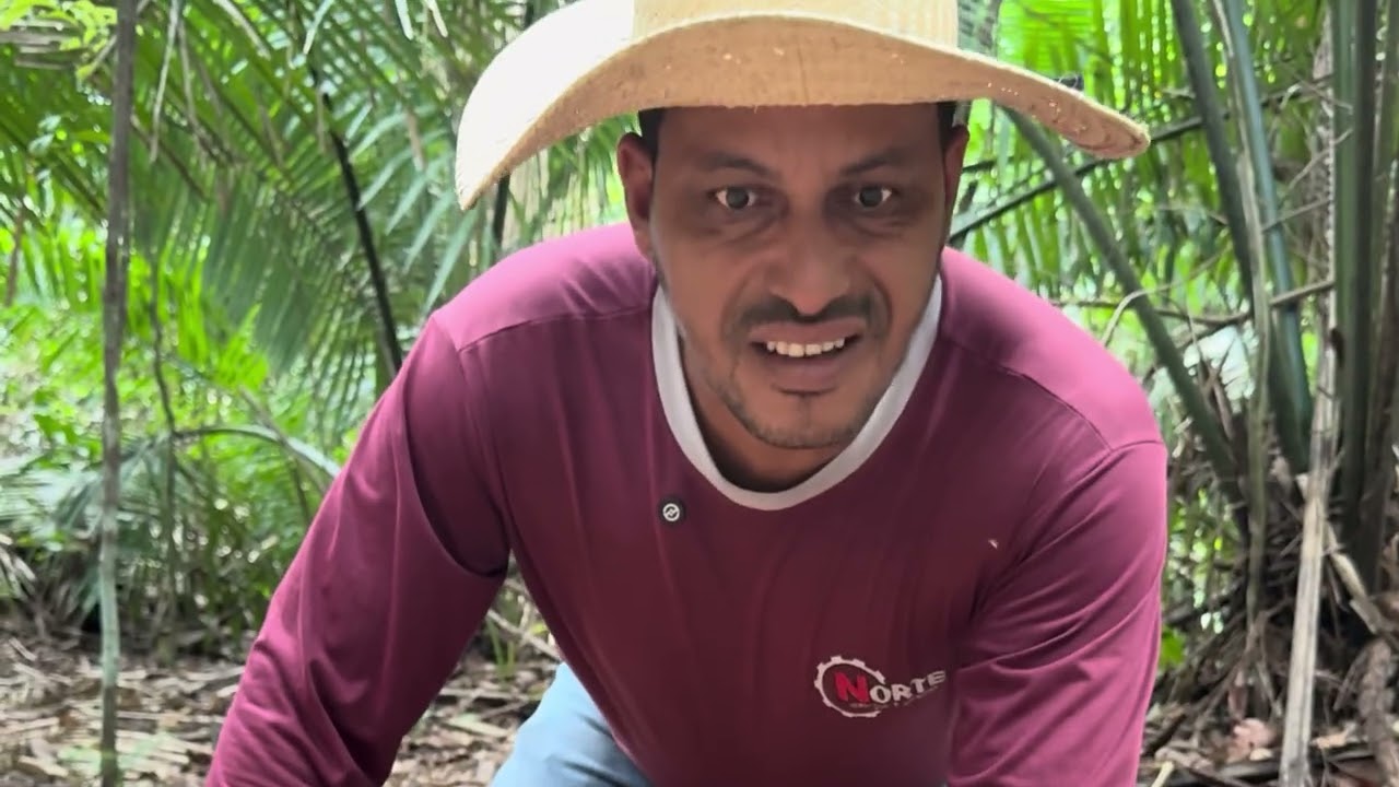 A cumade está em perigo na floresta 