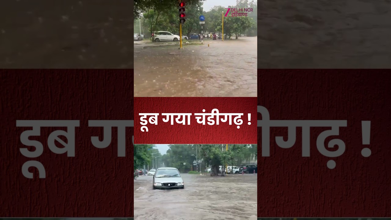 Flood Alert In Chandigarh : बारिश से सिटी ब्यूटीफुल हुई बेहाल ! | Waterlogging |  #zeednh