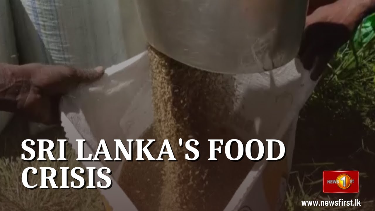 Food crisis in Sri Lanka likely to worsen - a warning from WFP