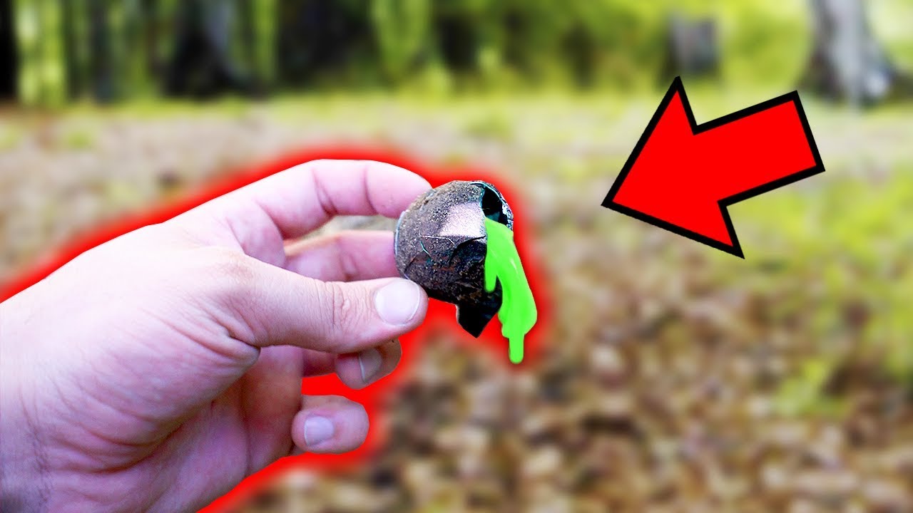 OLHA SÓ O QUE TINHA DENTRO DO OVO QUE ACHEI NA FLORESTA