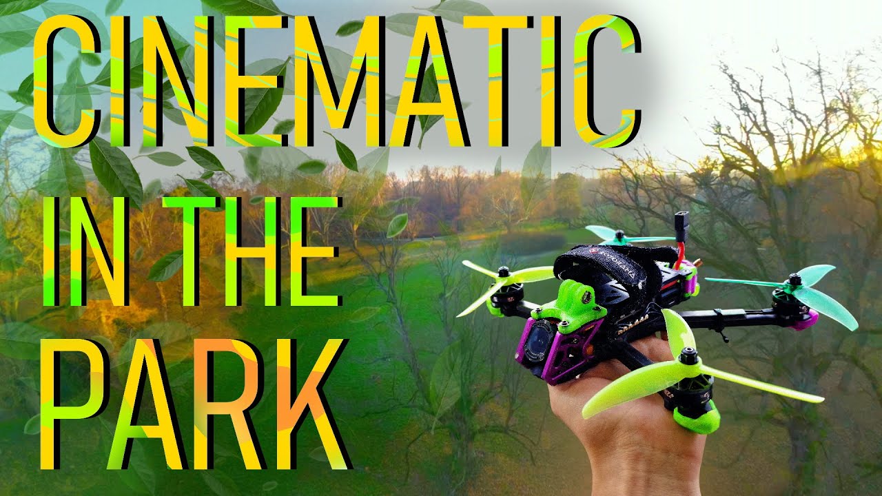 🌳 CINEMATIC IN THE PARK 🌳│CINEMATIC 4K