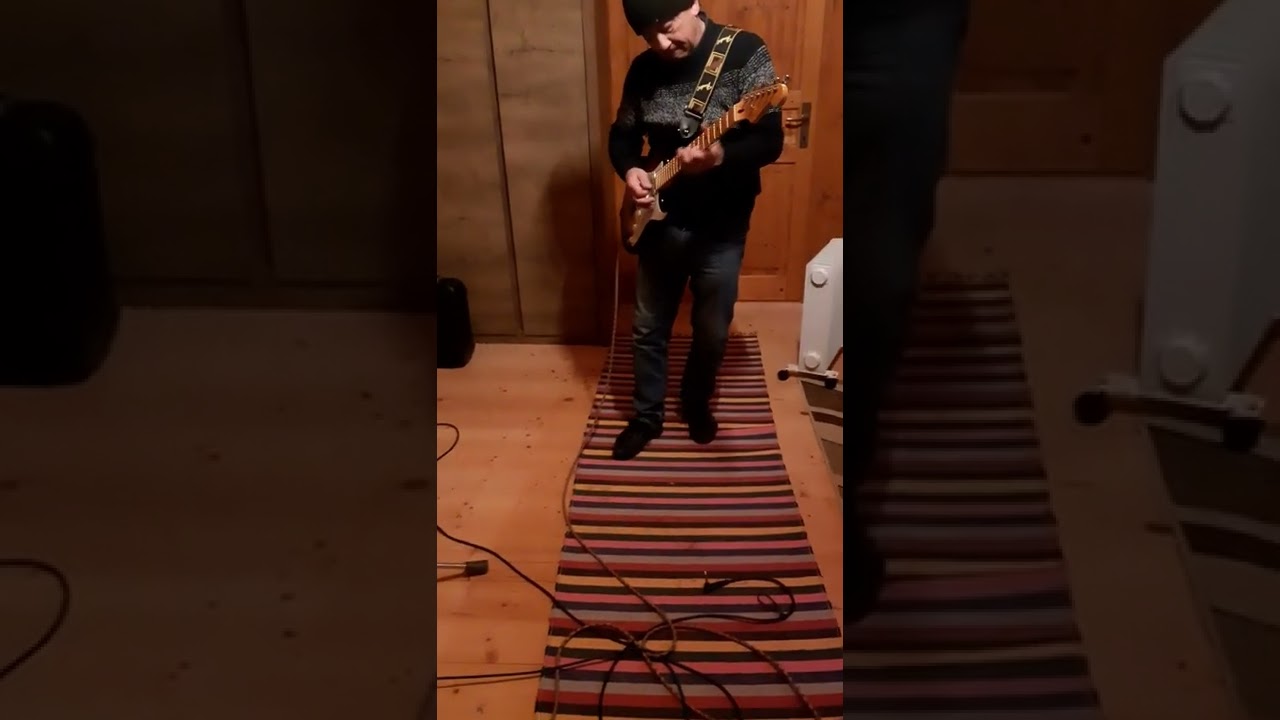 Vermona regent 30 fender stratocaster