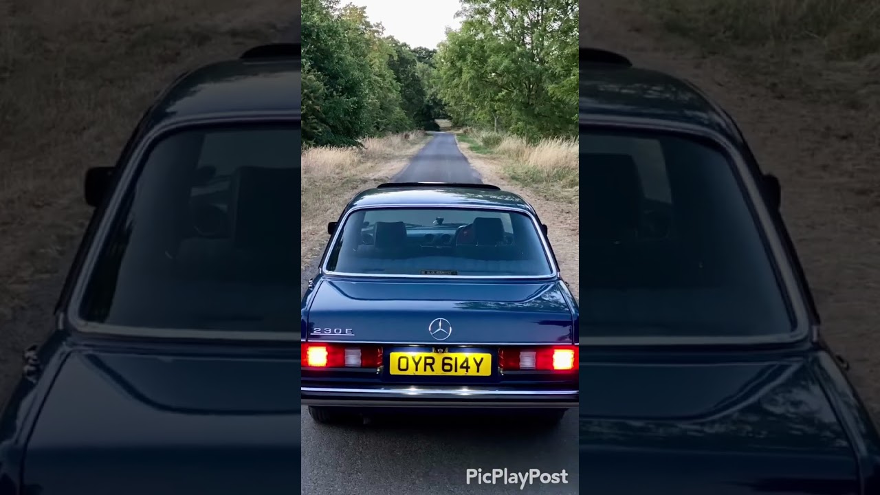 1983 Mercedes&rsquo; W123 - 230E