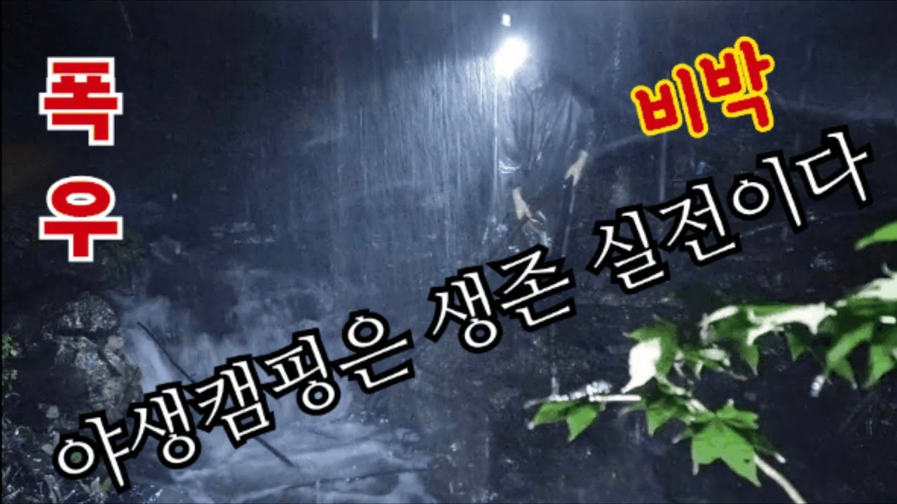 우중캠핑] 짜릿한 스릴과 낭만이 있는 야생 비박 캠핑의 진수/생존/백패킹/차사랑캠프