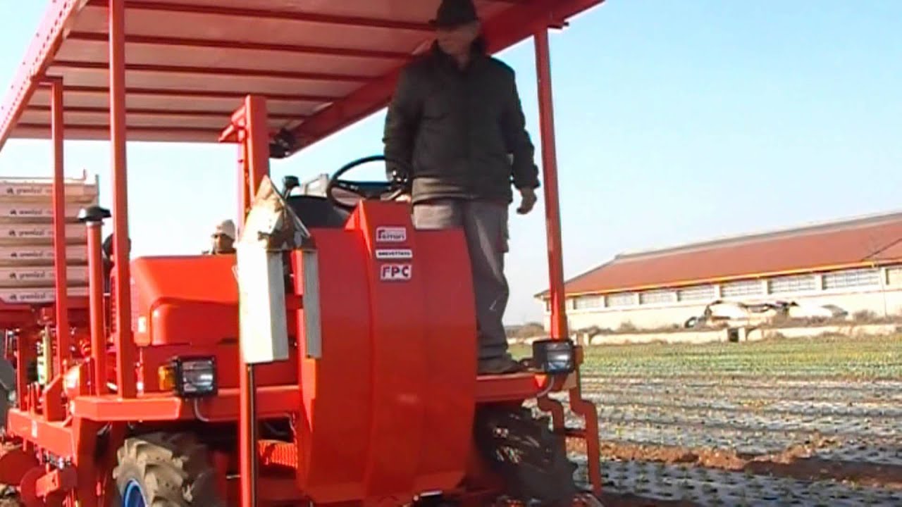 FERRARI TRANSPLANTER ON MULCH - FPC