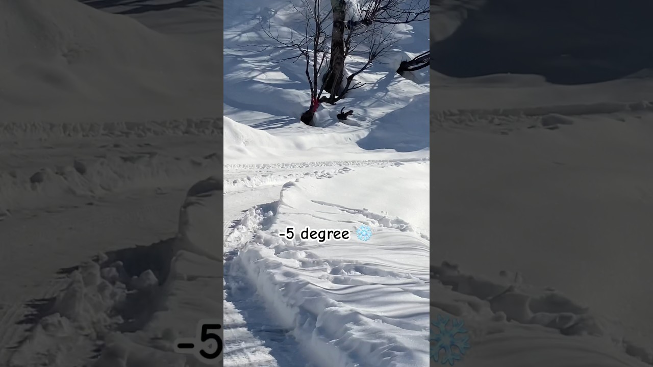 Snowy Manali in December -Winter Wonderland in India #shorts #ytshorts #trending #shortvideo